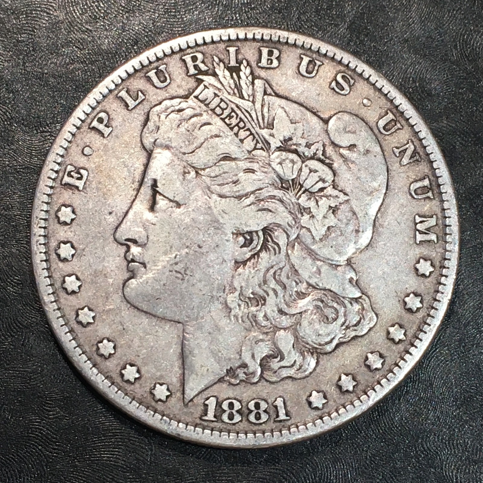 1881 Morgan Dollar - High Quality Scans #P301