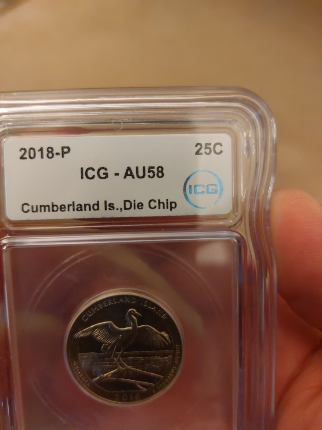 Cumberland Island Error Coin. Large Die Chip On Wing.