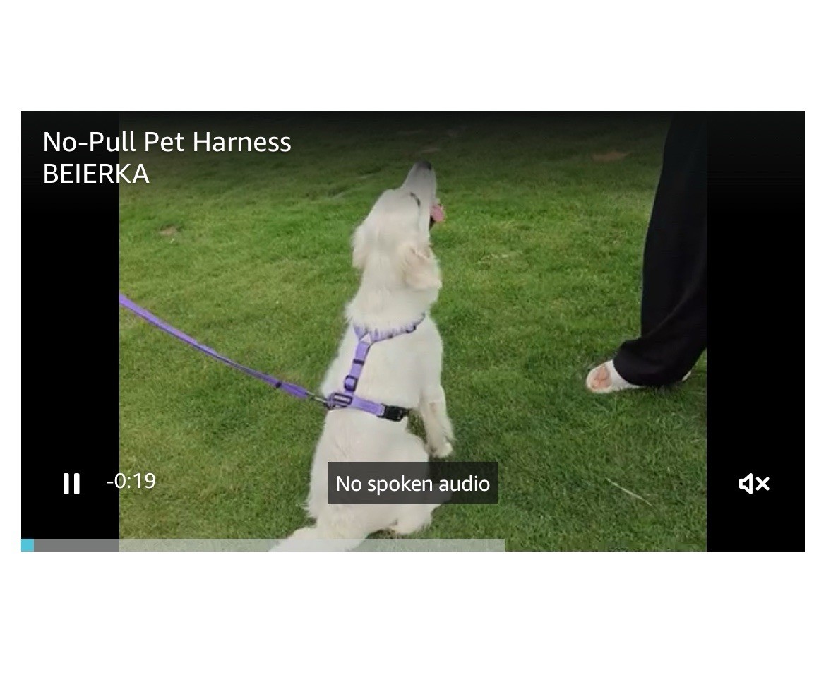 No-Pull Harness,Y-Shaped Design,Buckle-Neck Balance Harness