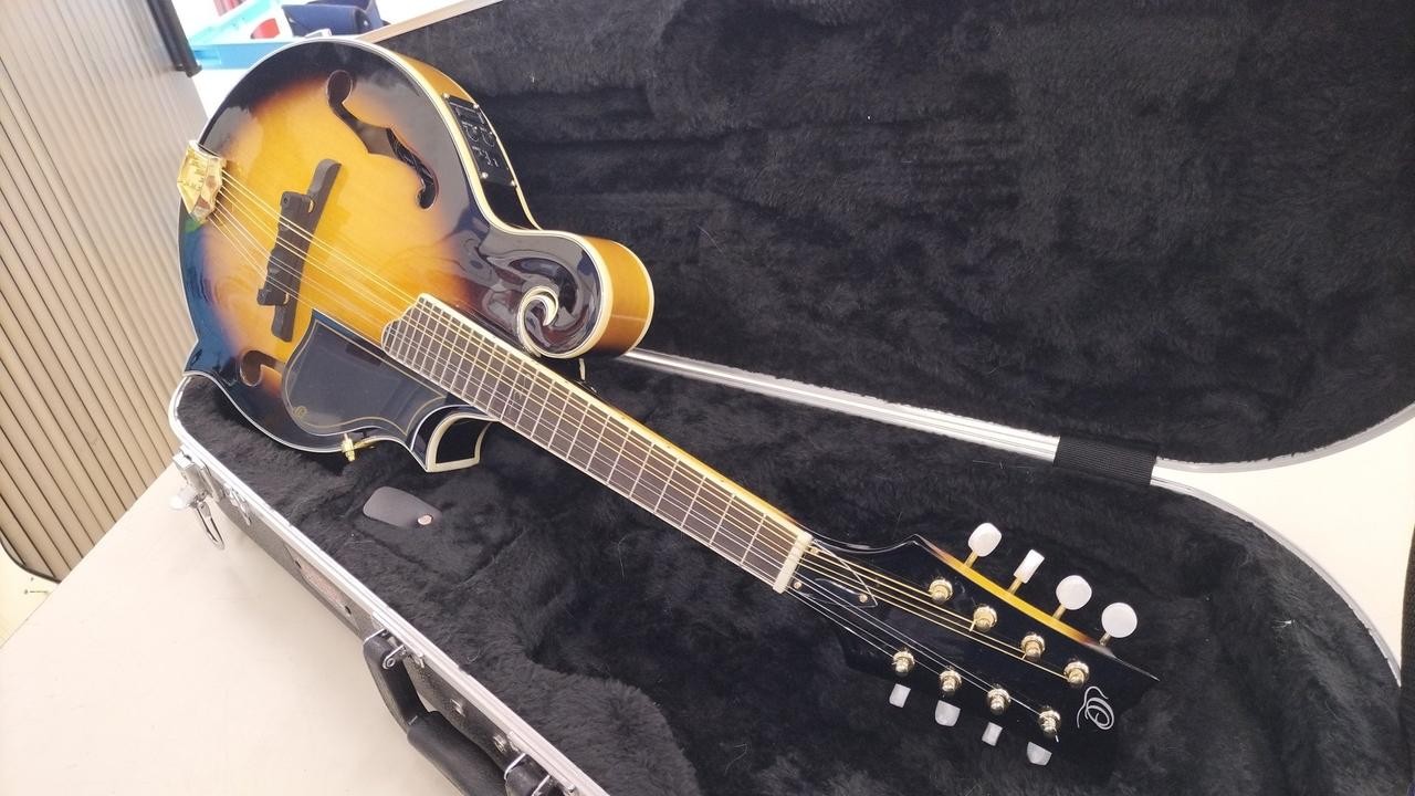 ORTEGA RMFE90TS Mandolin