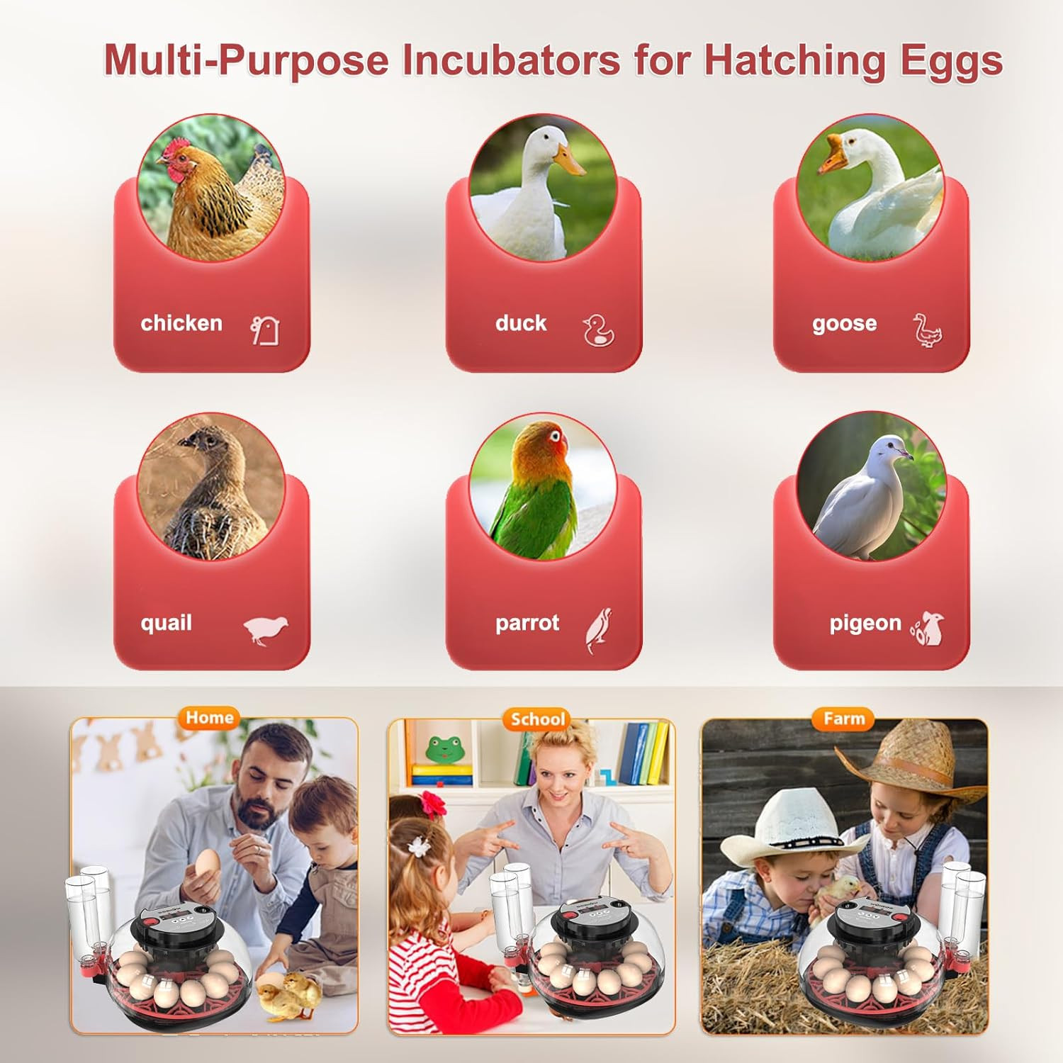 Automatic 12 Egg Incubator with LED Candler & Temp Control for Beginners