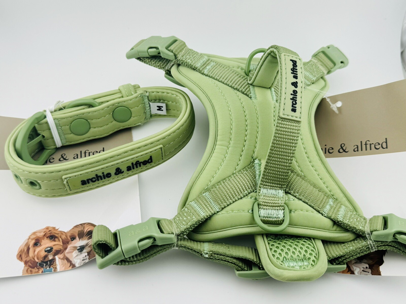 Archie & Alfred No Pull Adjustable Dog Harness And Matching Collar Medium Green