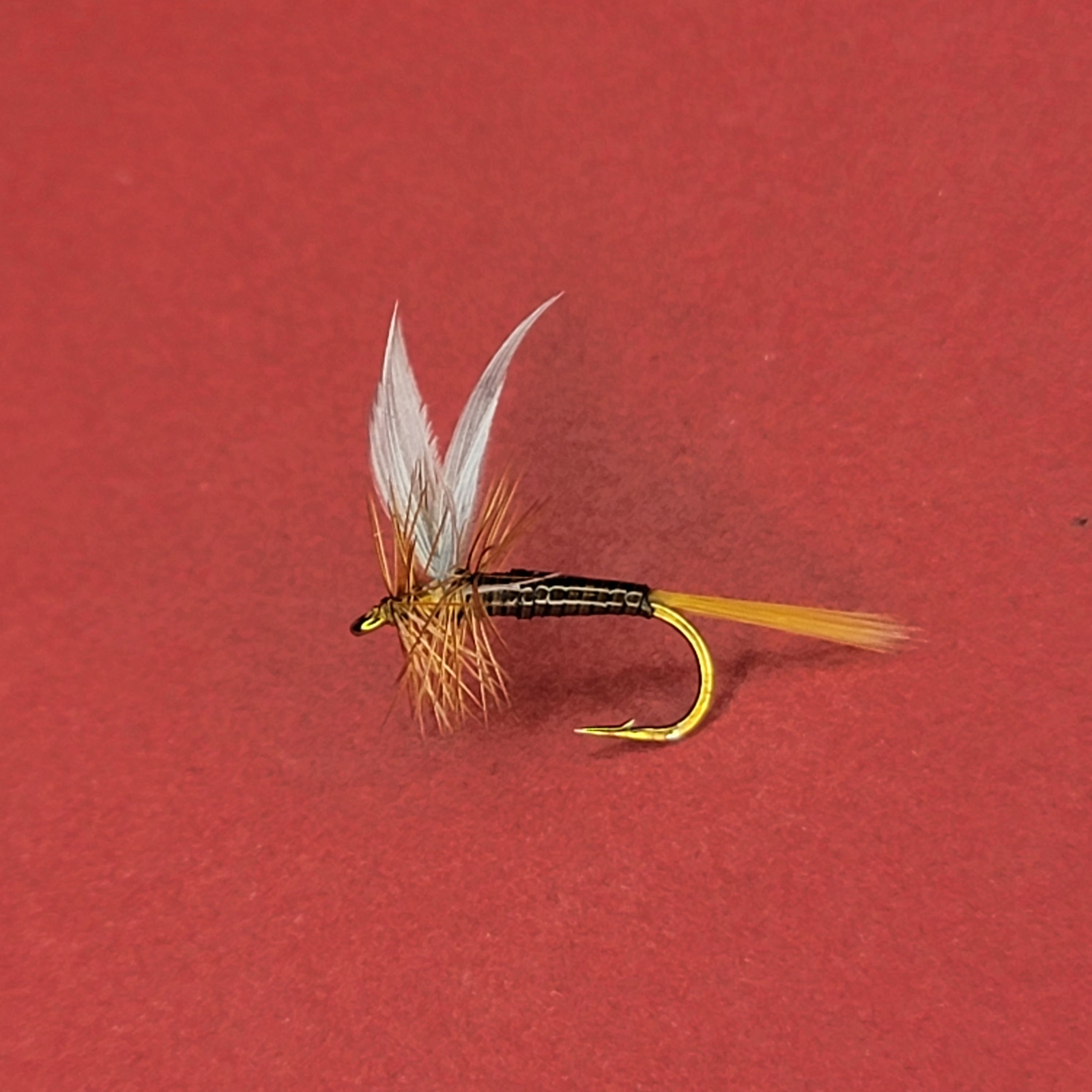 Ginger Quill | Size #14