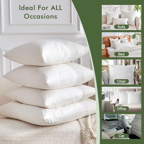 Feather Down Throw Pillow Inserts 20 x 20x20 Inch(Pack of 2) White(pack of 2)