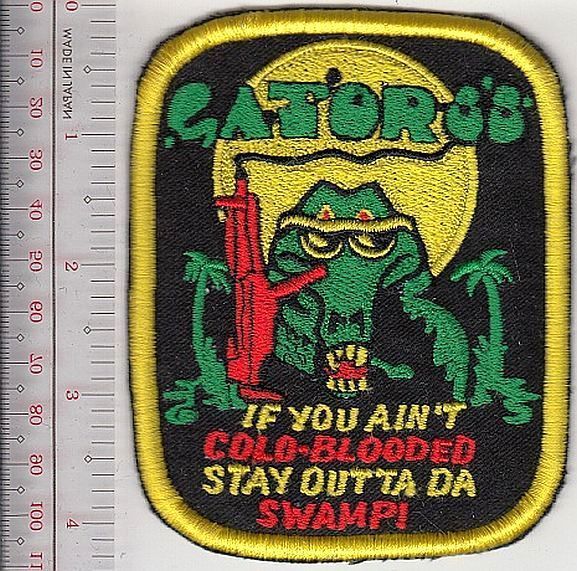 Green Beret US Army 11th Special Forces Group Airborne Everglades NO TARIFF