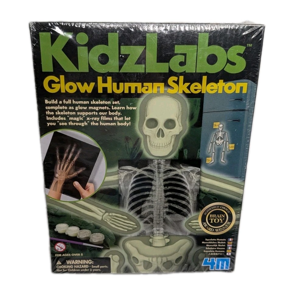 Kidzlabs Glow Human Skeleton Build A Full Human Skeleton Set For Ages Over 8
