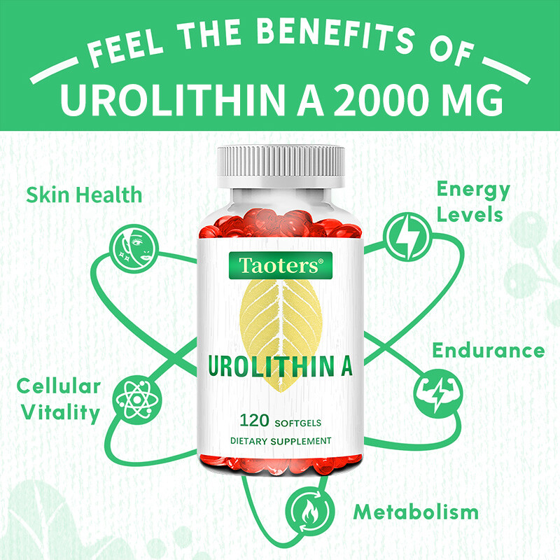 Urolithin A Supplement Improve Muscle Endurance Overall Health 120 Capsules US