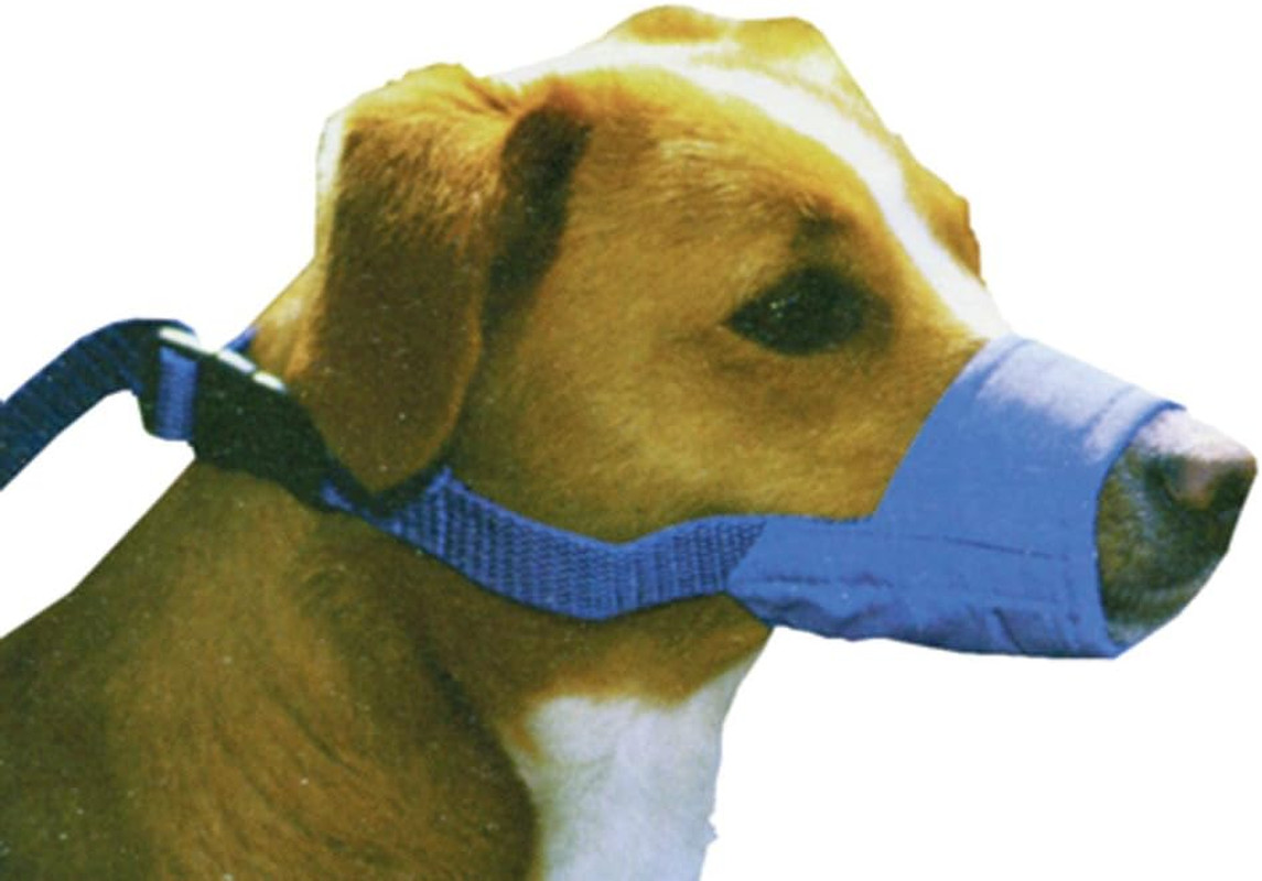 Quick Muzzle XL Blue