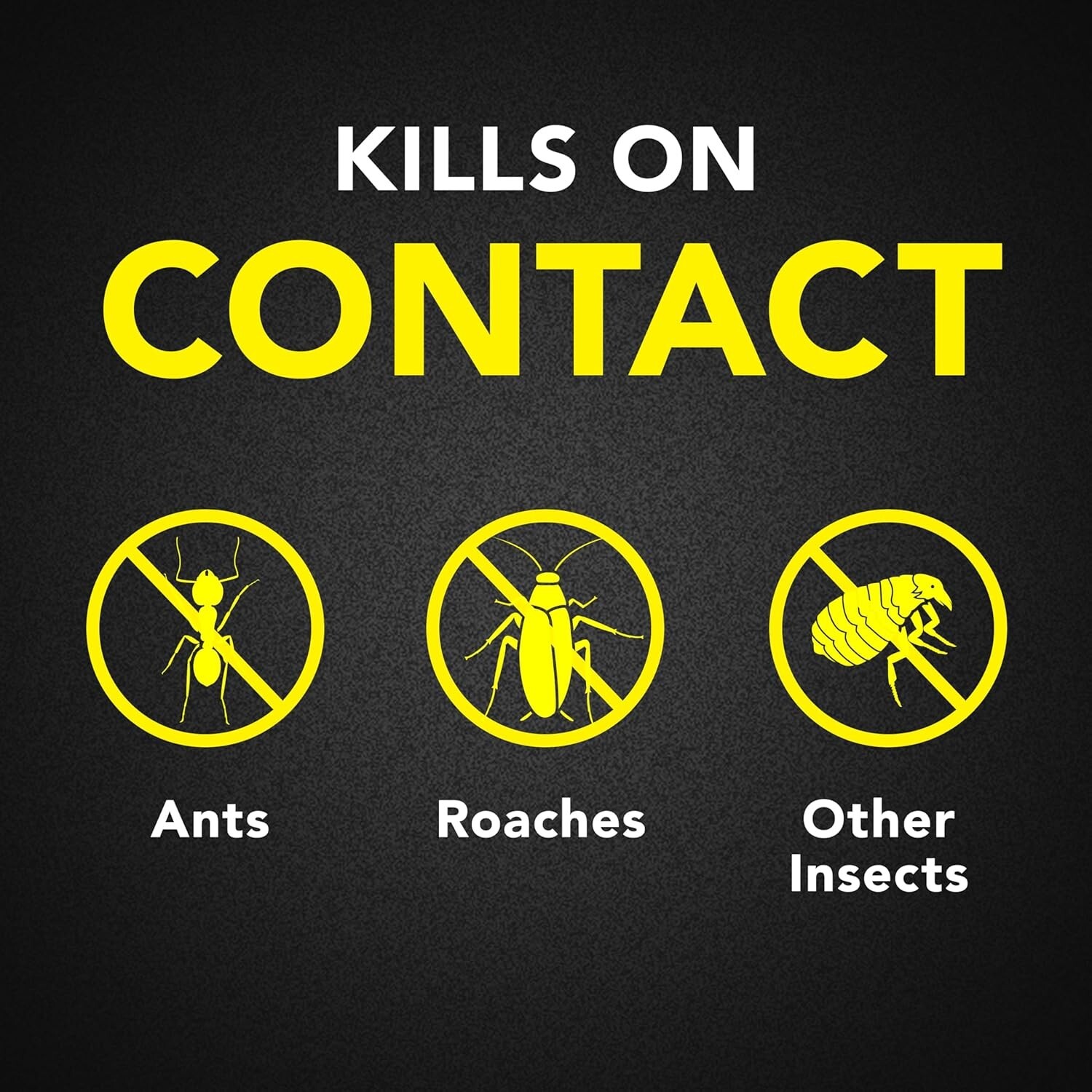Raid Ant & Roach Killer Spray for Listed Bugs, Keeps Killing for Weeks, Lavender