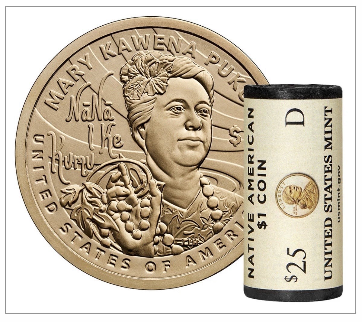 2025 D Sacagawea Native American Dollar Roll Mint Roll Heads Tails Unopened
