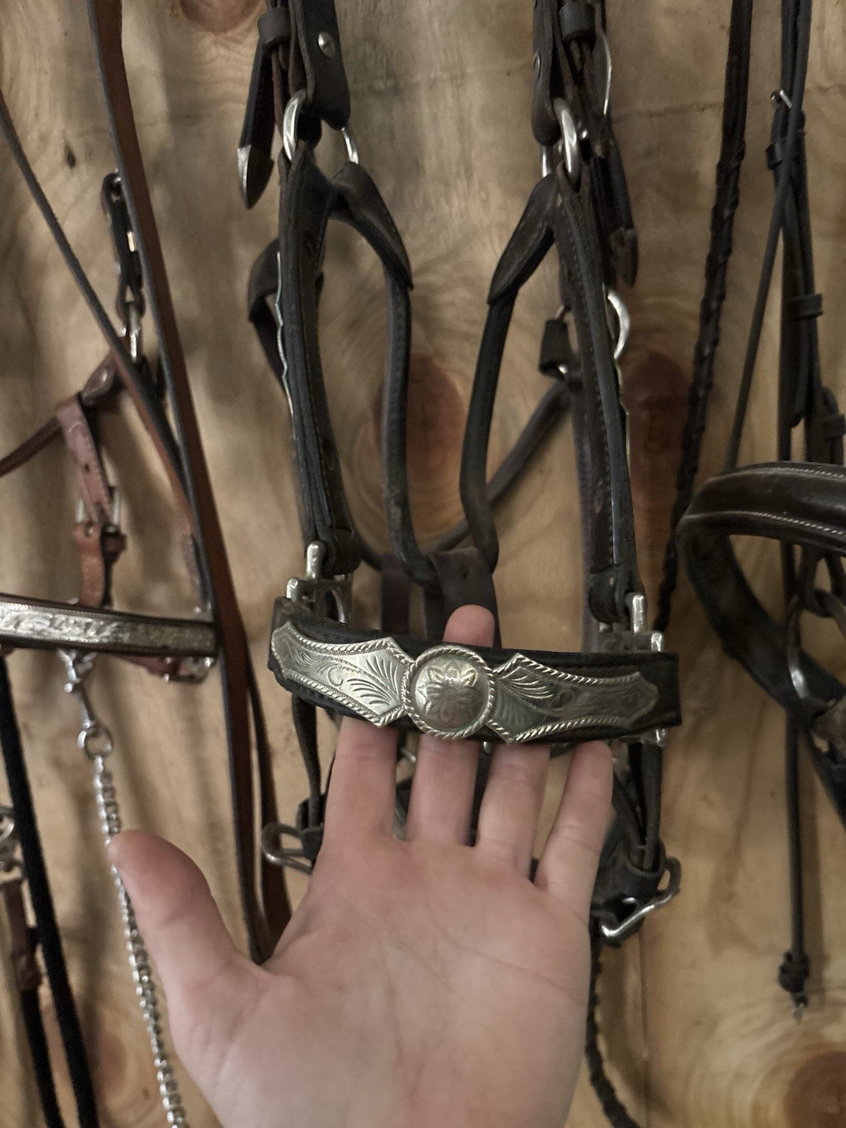 Western Show Halter