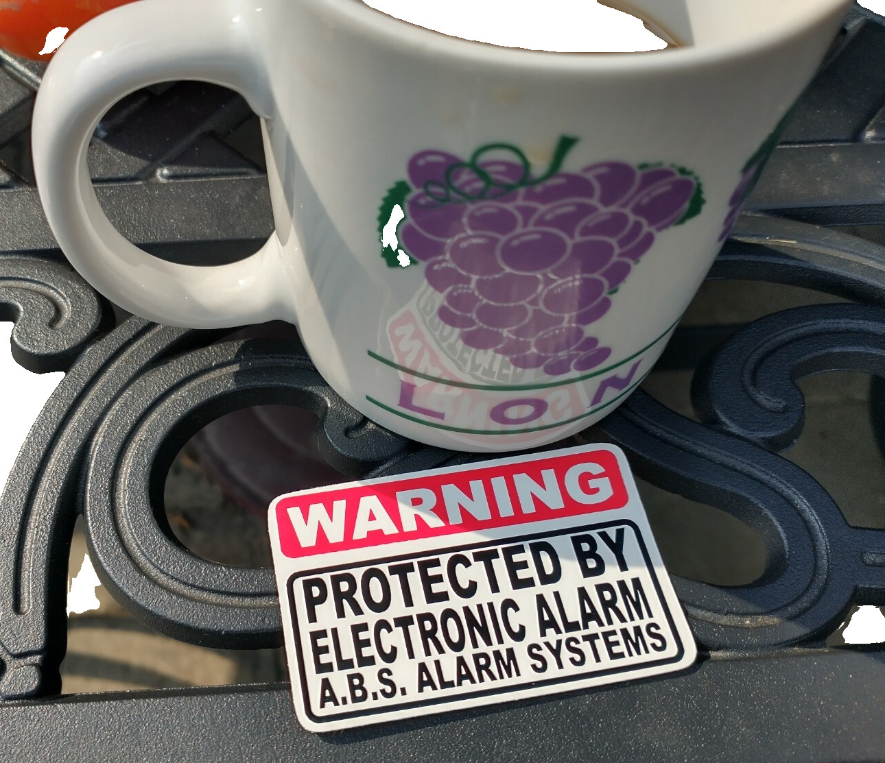 WARNING Protected BY ABS ELECTRONIC ALARM SYSTEMS sticker