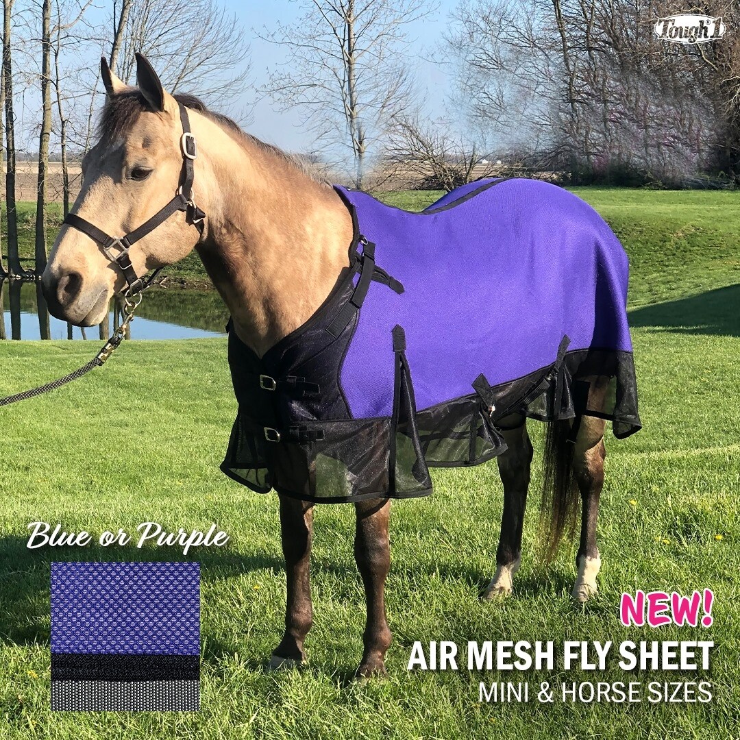 Horse Fly Sheet - Air Mesh Fabric - Royal Blue or Purple - Sizes 60" to 84"