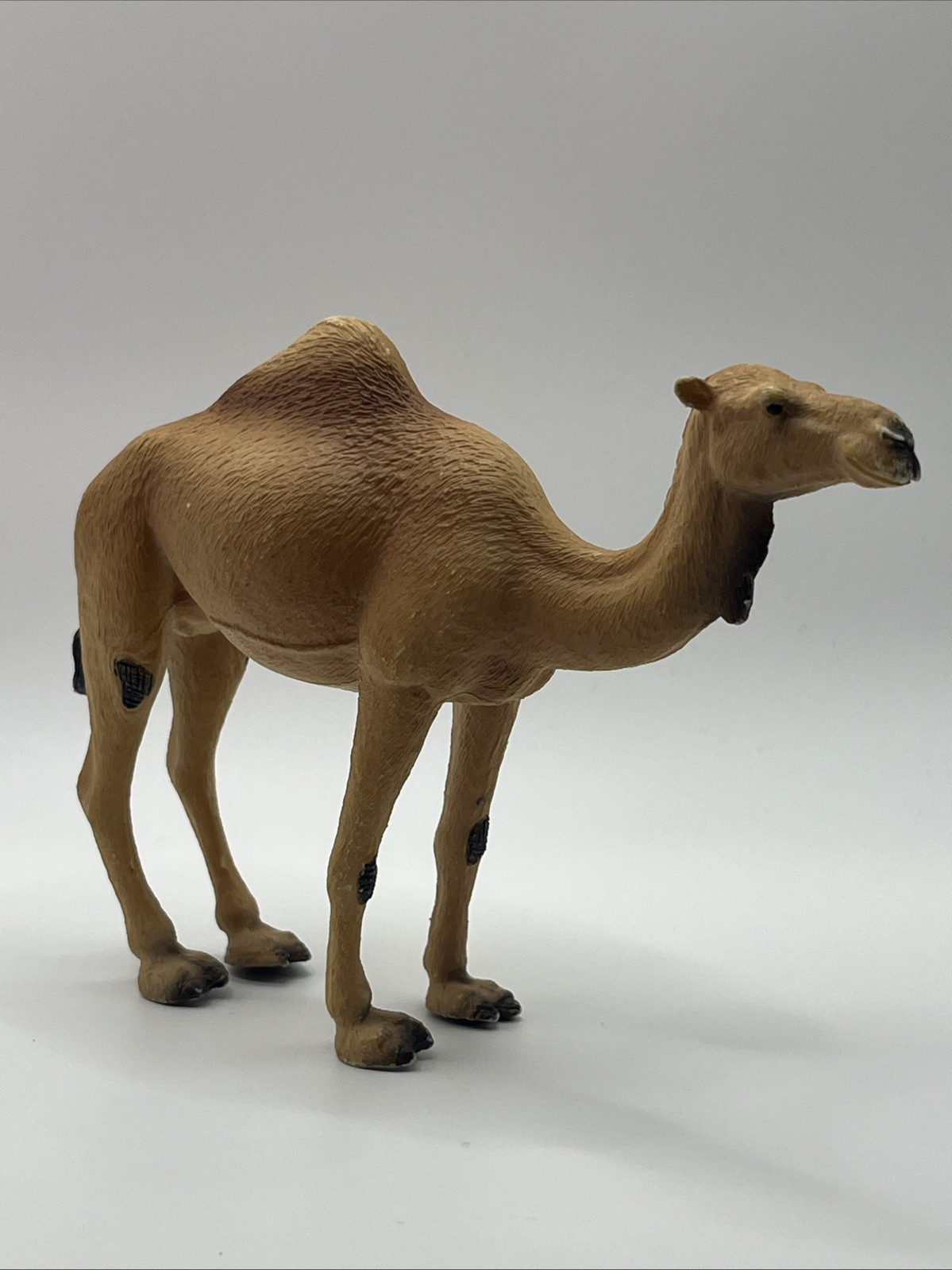 MOJO - Arabian Camel | Hand-Painted Toy Figure | Wildife 4.9 inches