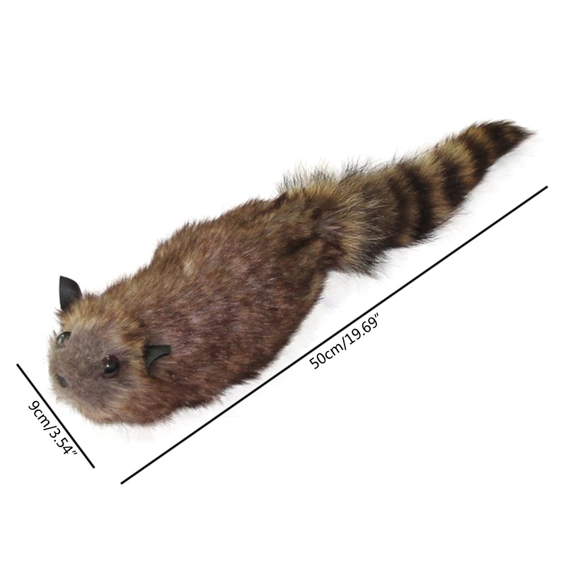 Novelty Simulation Raccoon Magic Trick Illusion Gimmick Magic Learner Preference