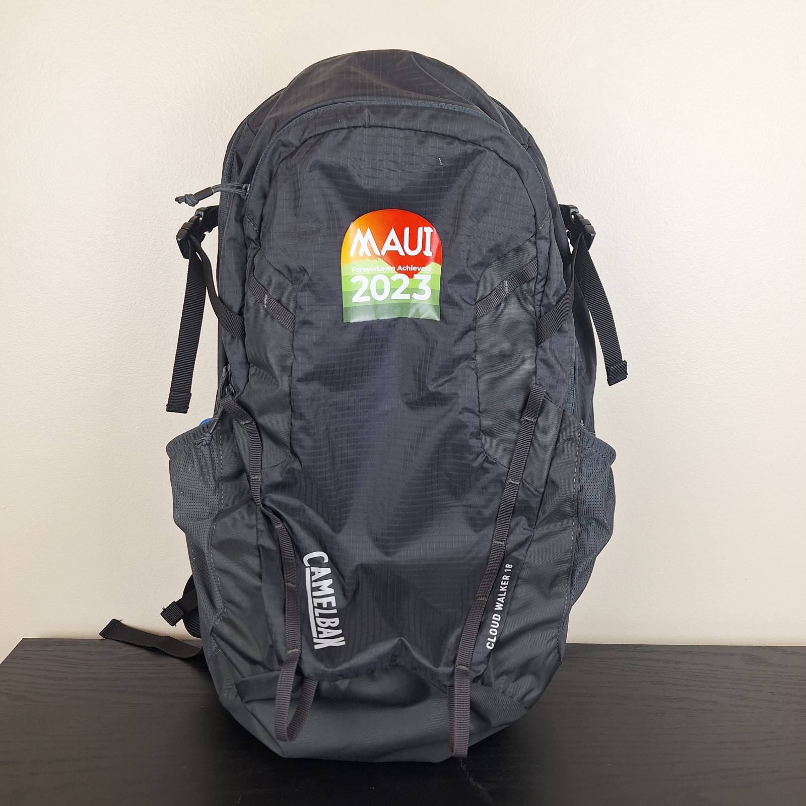 Camelbak Backpack Cloud Walker 18 Pack 18L Outdoor Hiking Travel | No Bladder |
