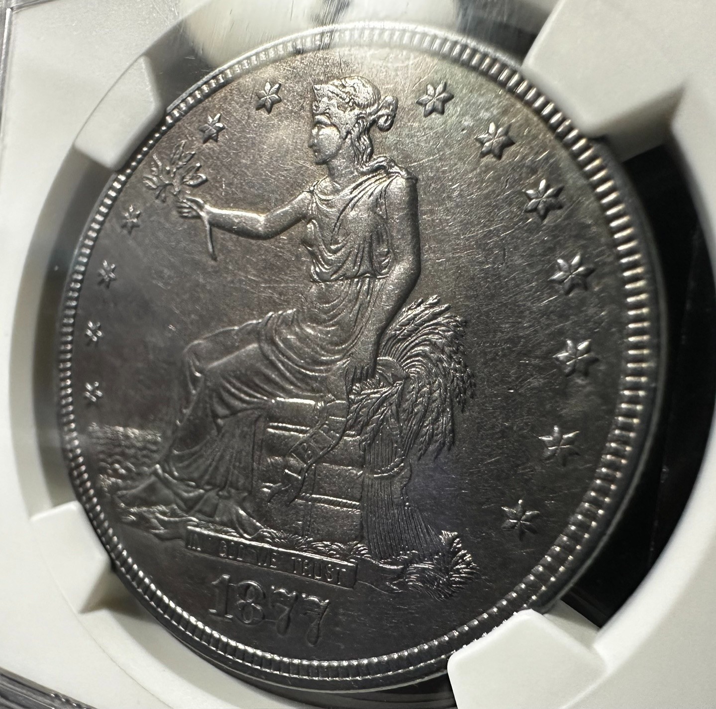 1877 NGC $1 United States Trade Dollar Deep Lavender Purple Both Sides Amazing!