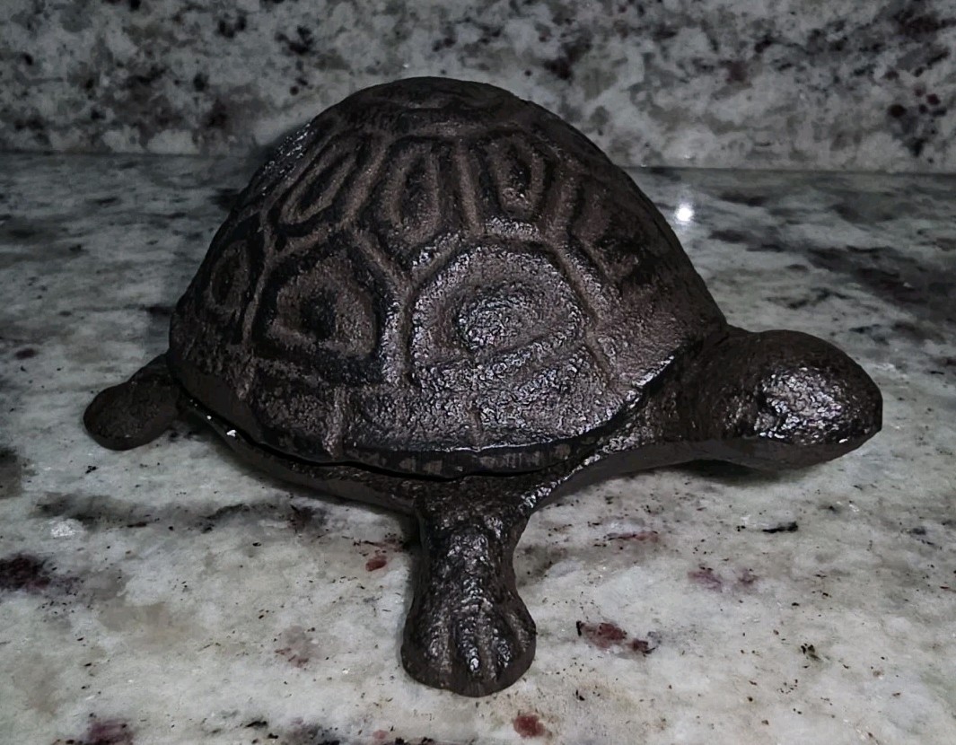 Turtle Hide A Key Box Hideaway Rustic Cast Iron Garden Decor Figure Tortoise