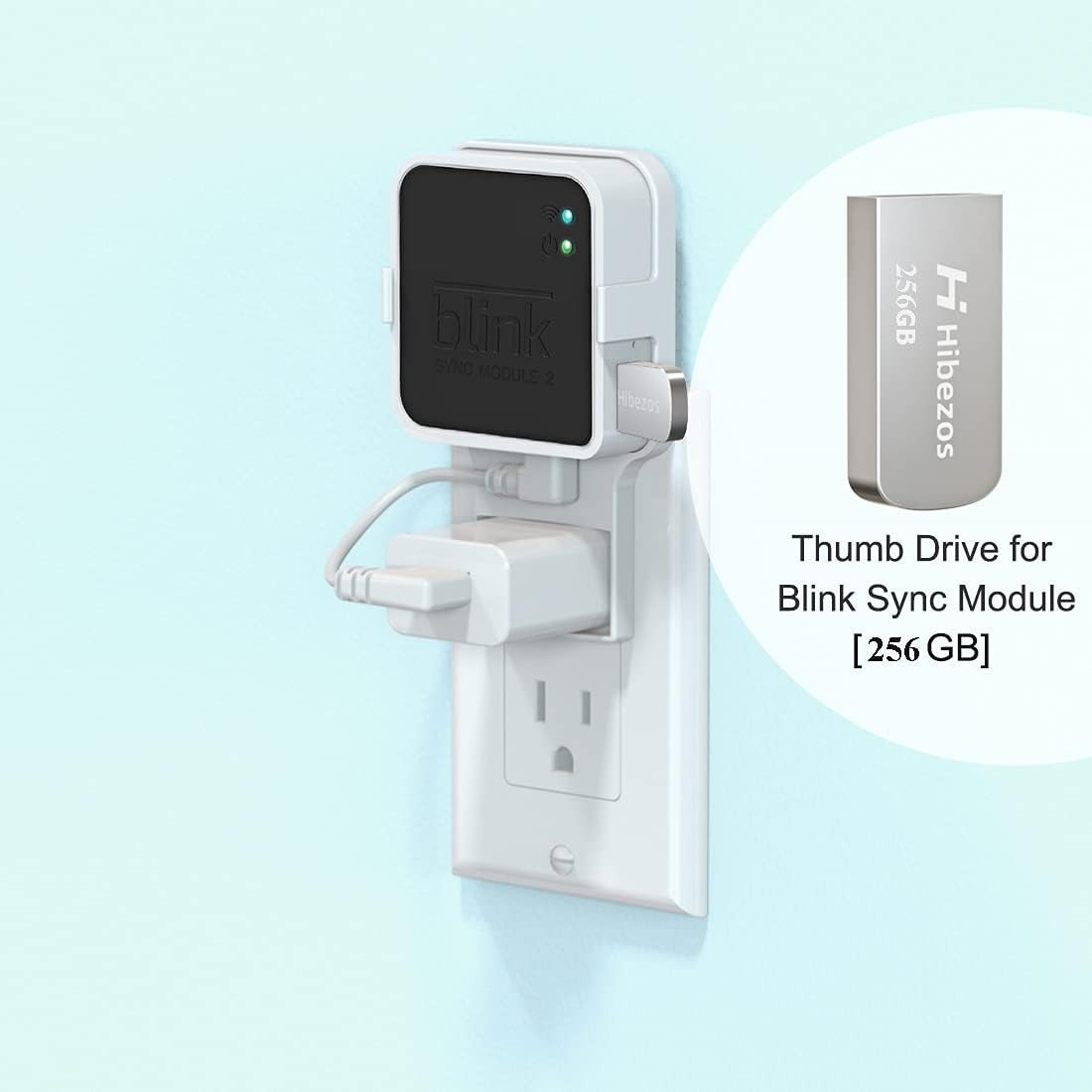 256GB USB Flash Drive & Outlet Mount for Blink Sync Module 2 - Easy Install