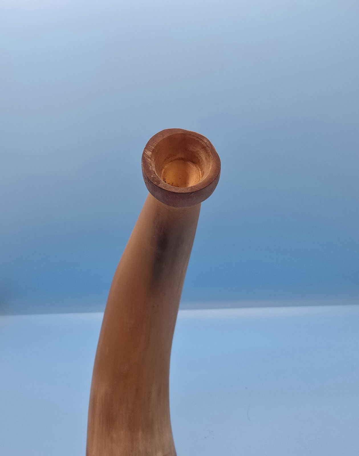 Antique Powder Horn
