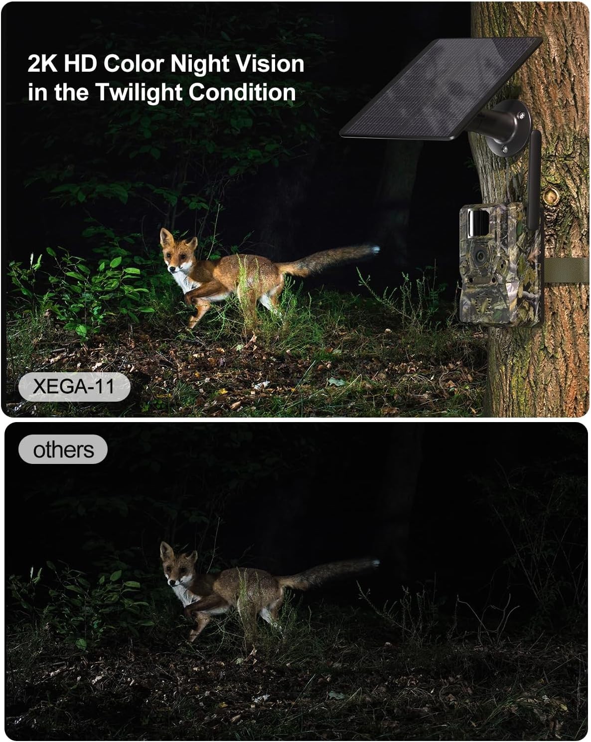 Multi-Functional 4G Solar Trail Camera - 2K Video & Motion Detection Alerts