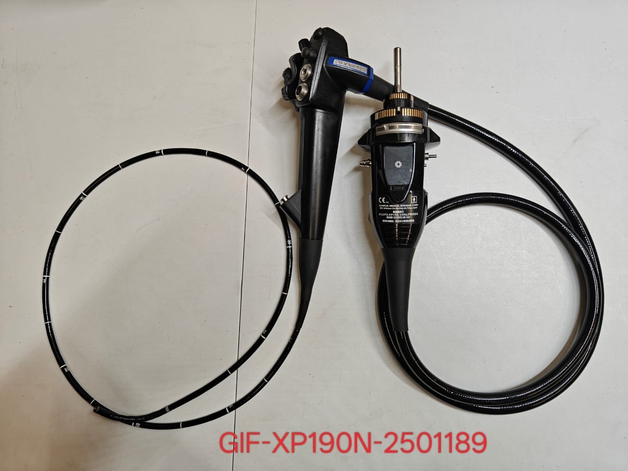 GIF-XP190N Versatile video gastroscope