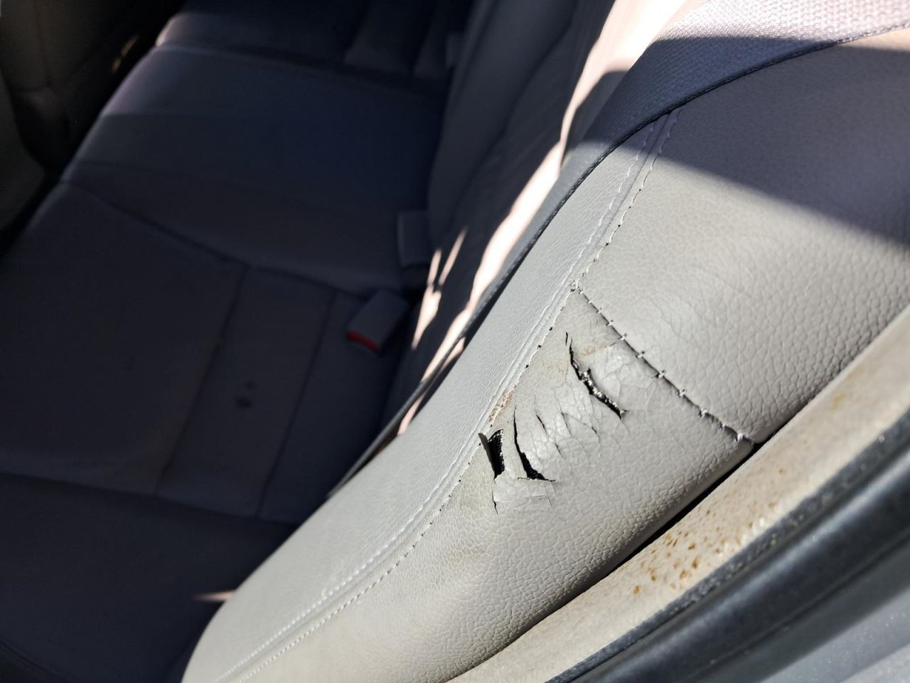 ACCORD 2009 Glove Box 4841973