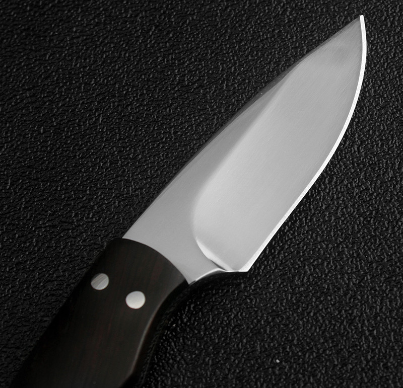 5.5" Tactical Fixed Blade Knife Hunting Survival Knife 440C Steel Blade + Sheath