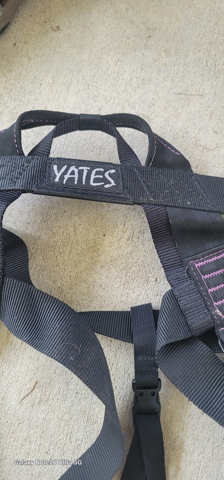 Yates brand "Alpine Instructional Harness"