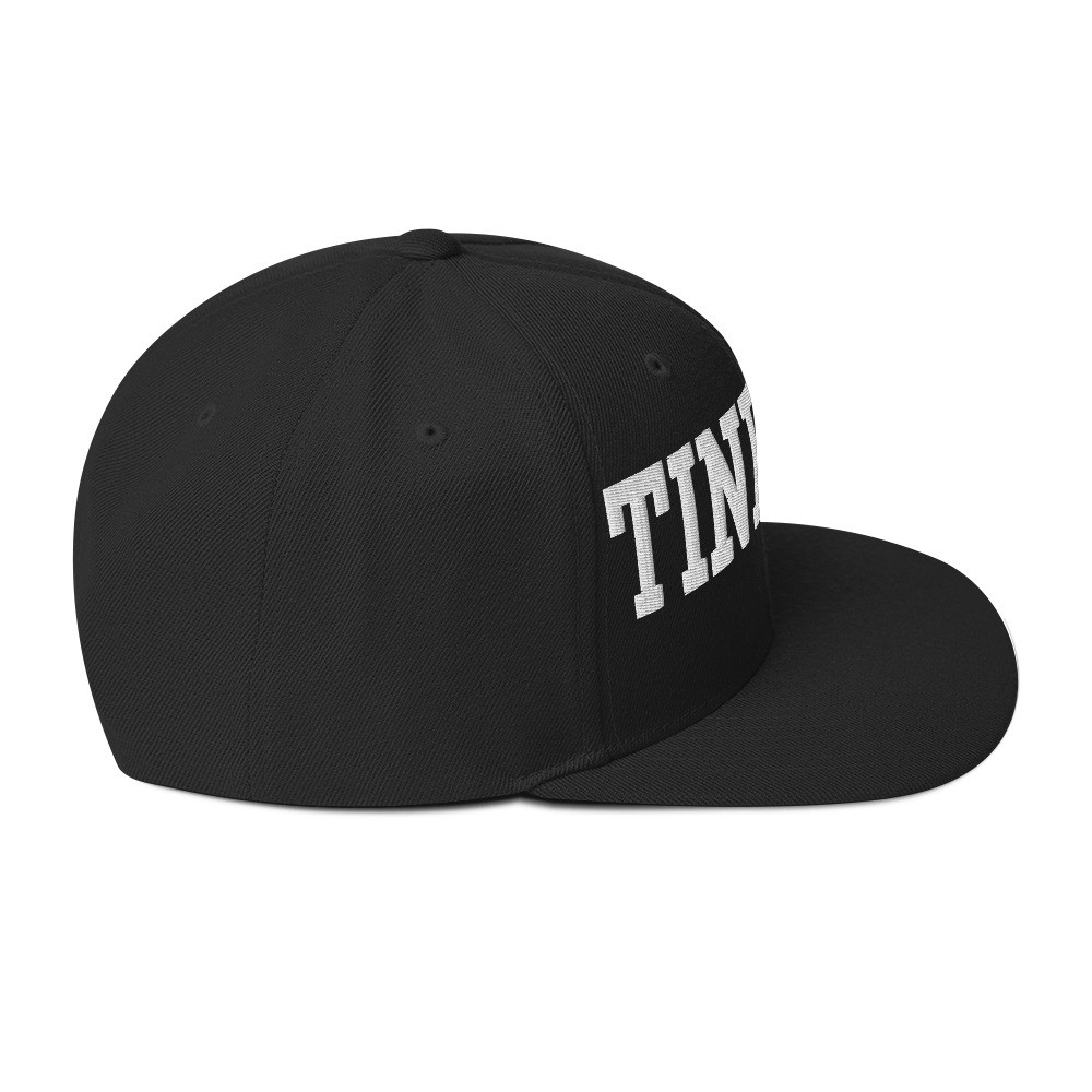 Tinfoil Hat Aluminum Foil Hat Snapback Hat
