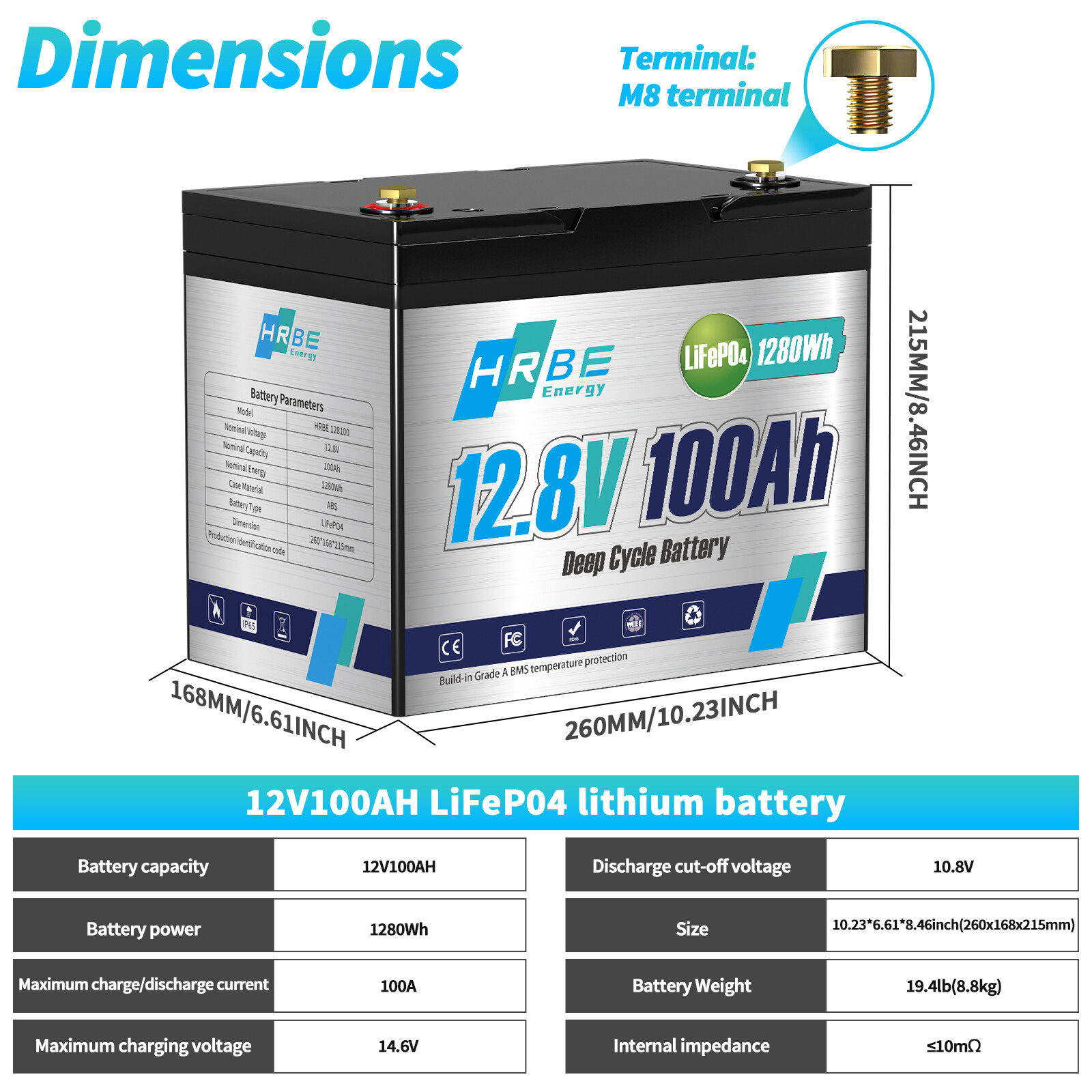2 Pack 12V 100Ah LiFePO4 Deep Cycle Lithium Battery 100A BMS for Solar RV 24V