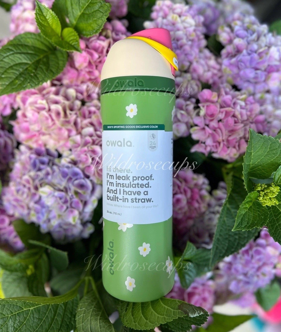 Owala Darling Daisy 24oz Free Sip, Limited Edition Authentic NIB US Seller