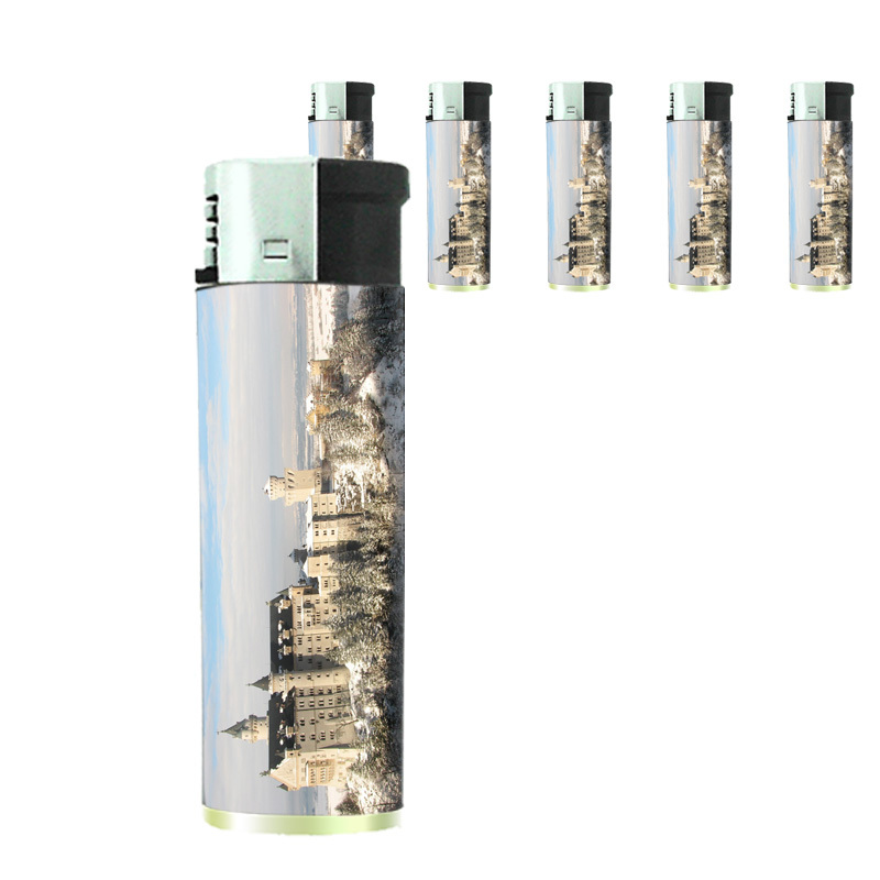 Famous Landmarks D12 Lighters Set of 5 Electronic Refillable Neuschwanstein