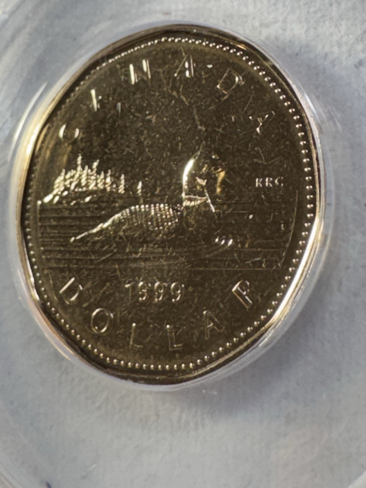 1999 Canada 1 Dollar Loonie Graded MS 67 by ANACS