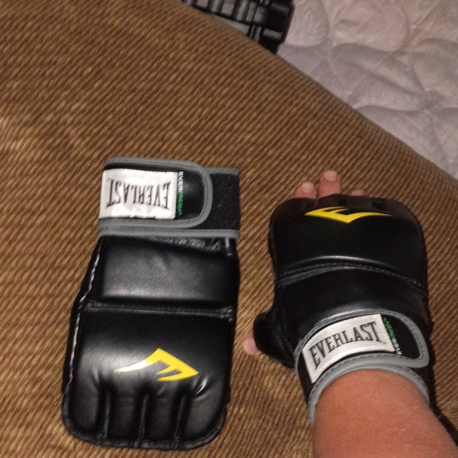 Everlast MMA training n sparing gloves