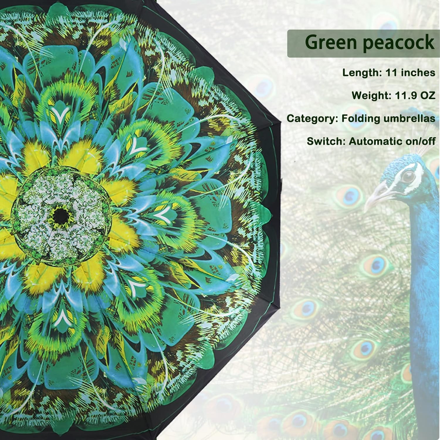 Windproof Compact Travel Umbrella – Automatic Folding (Green Peacock)