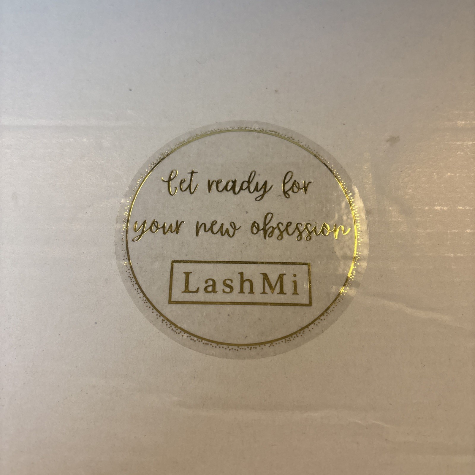 LashMi Eyelash Extension Kit Individual Lashes Starter Professional