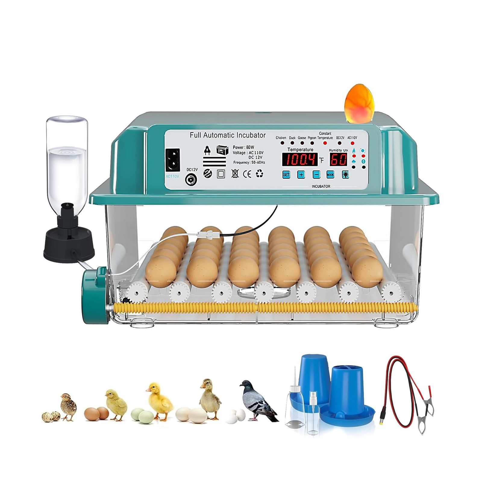 CoInceptus 36 Eggs Incubators for Hatching Eggs,Egg Incubator with 4 Automati...