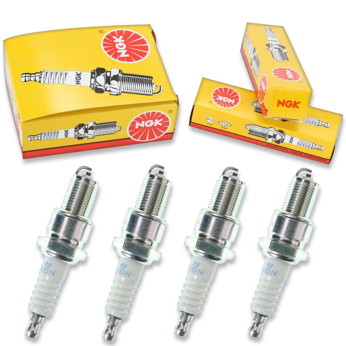 4pcs 05-06 Cobra KING NGK Standard Spark Plugs 50cc 3ci 50 Kit Set Engine cp