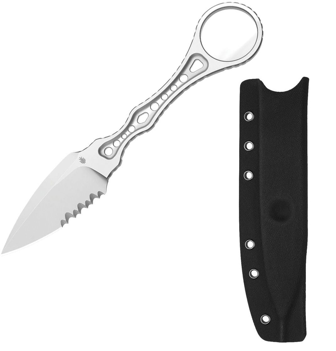 Kizer Cutlery Defensor Fixed Knife 2.63 Nitro V Steel Blade Stainless Handle
