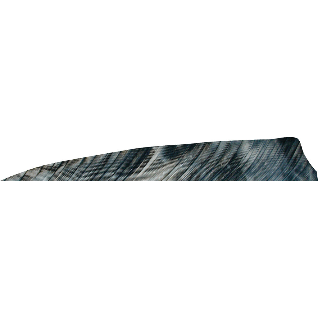 Gateway Shield Cut Feathers Tre White/Orange 4 in. LW 50 pk.