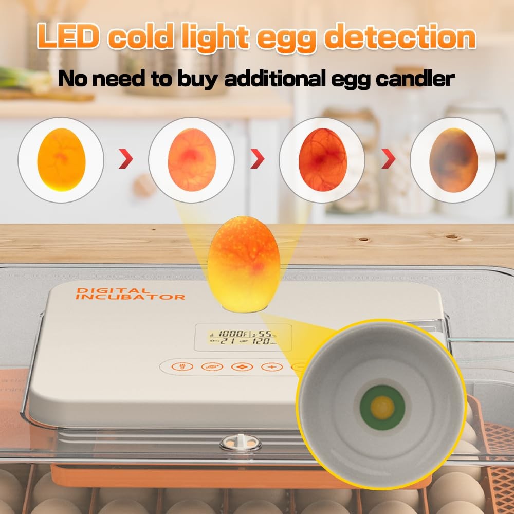 HOWOOlUA 56 Egg Incubator for Hatching Eggs with Auto Turn, Temp & 56-ORANGE