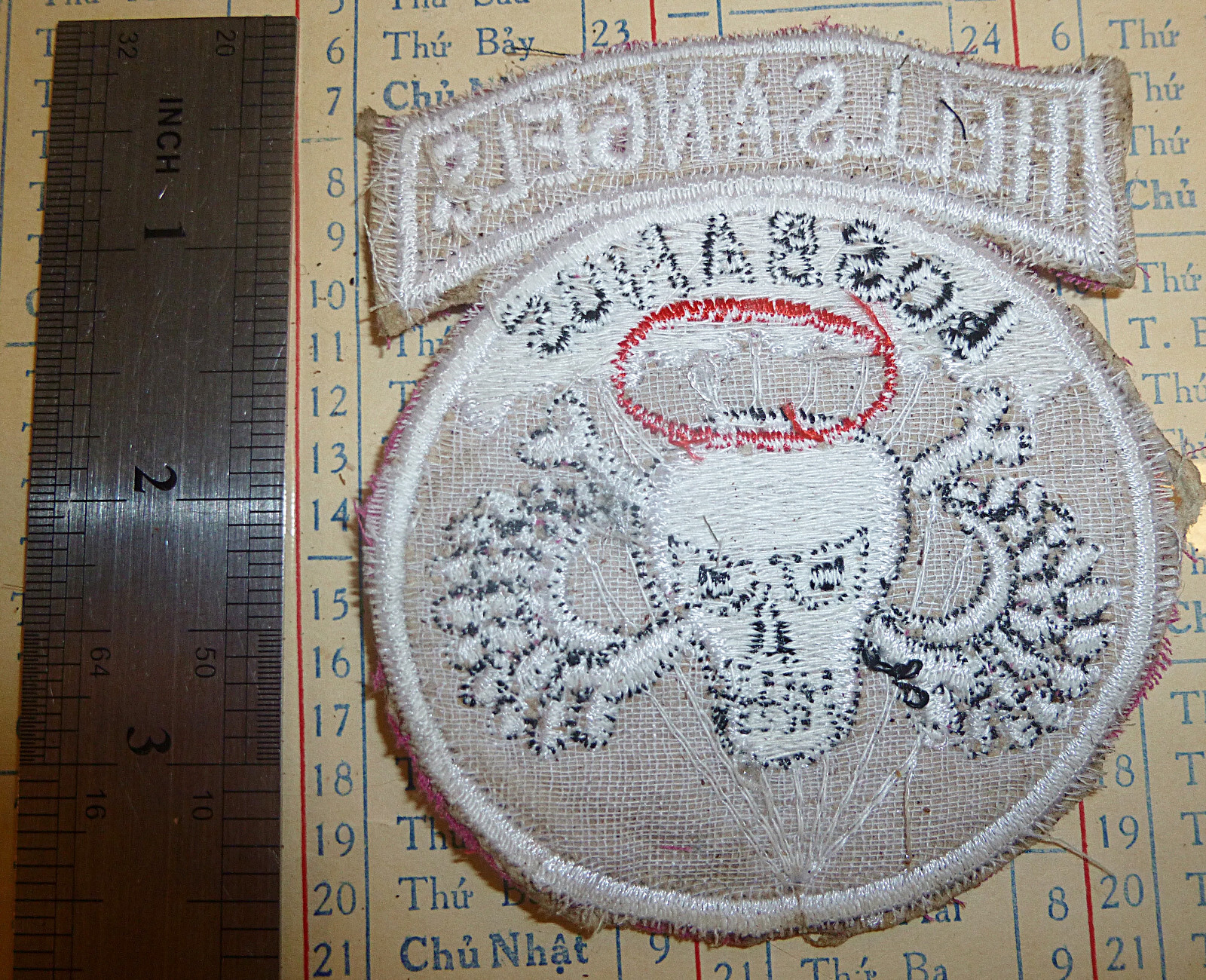 Patch - HELLS ANGELS - Deaths Head Wings - 503rd AIRBORNE - Vietnam War - M.338