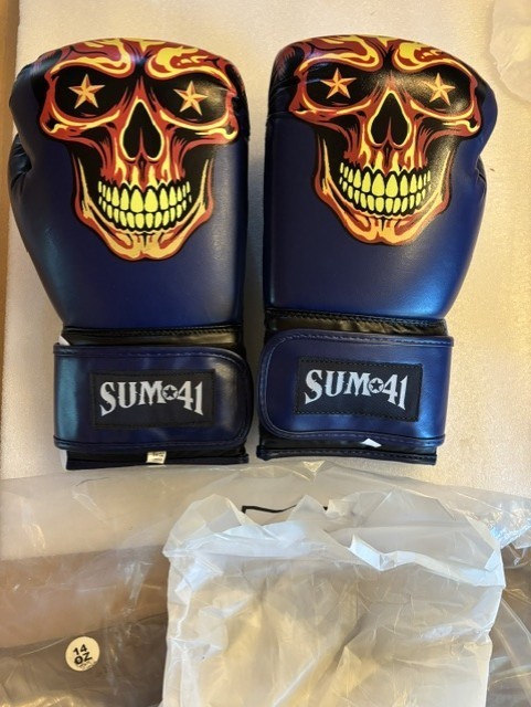 SUM 41 Tour of the Setting Sum Boxing Gloves 14oz - NEW!