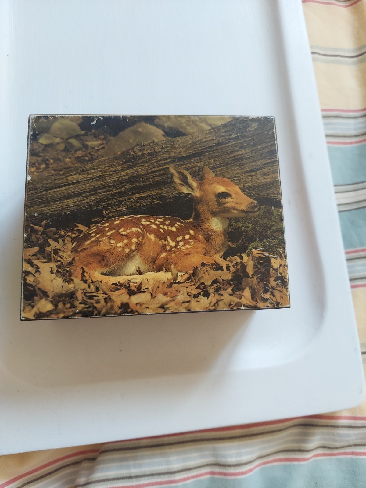 Mount Rainier Souvenier Cedar Box