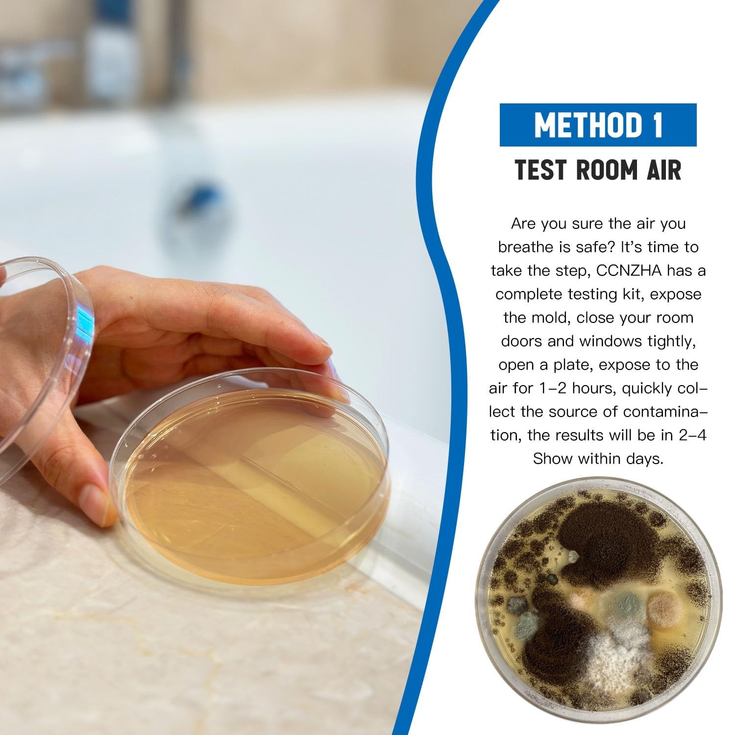 Home Mold Kit - 6 Tests, Black Mold Detector, Free Lab Analysis