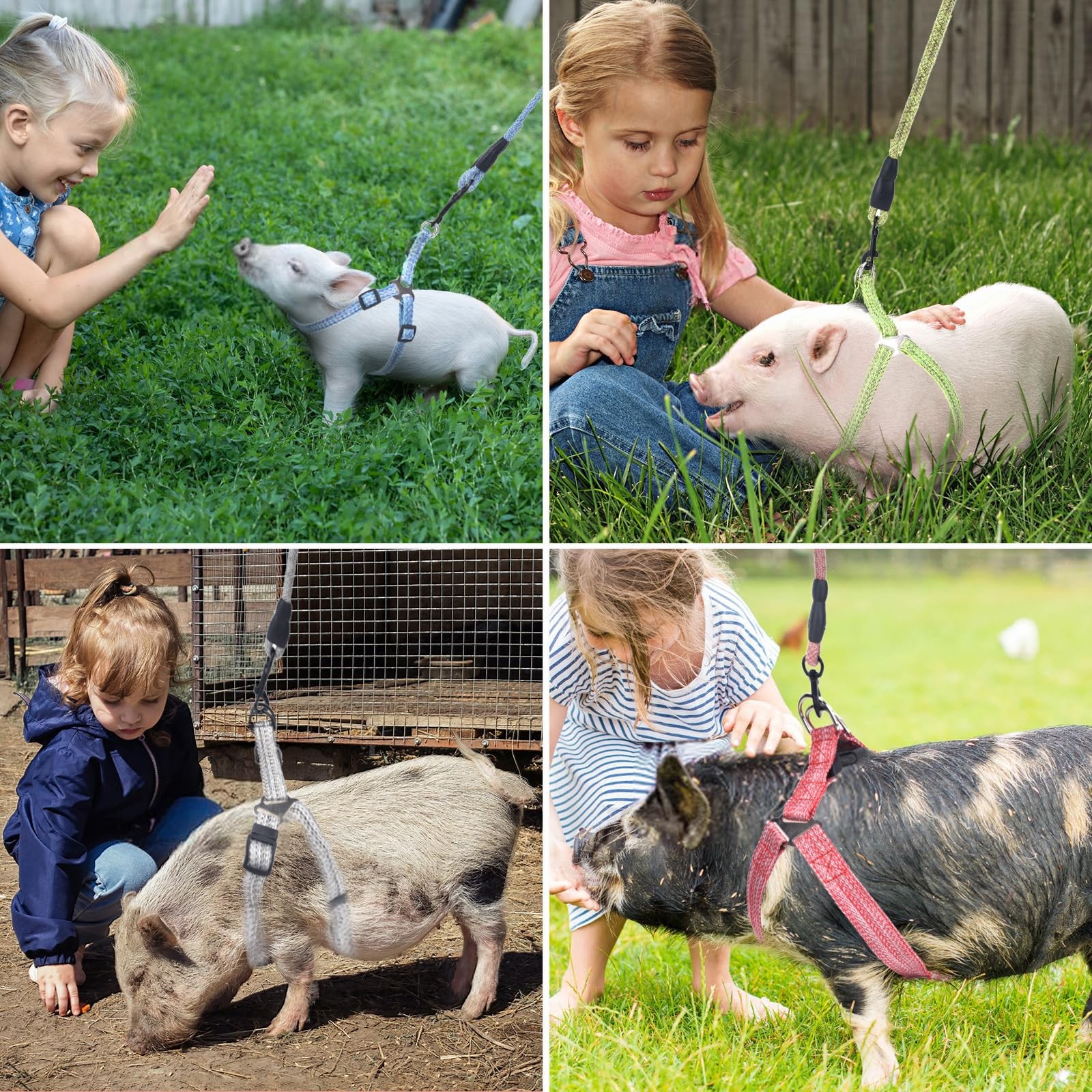 Mini Pig Harness, Adjustable Small Harness with Leash Infinity S, Pink