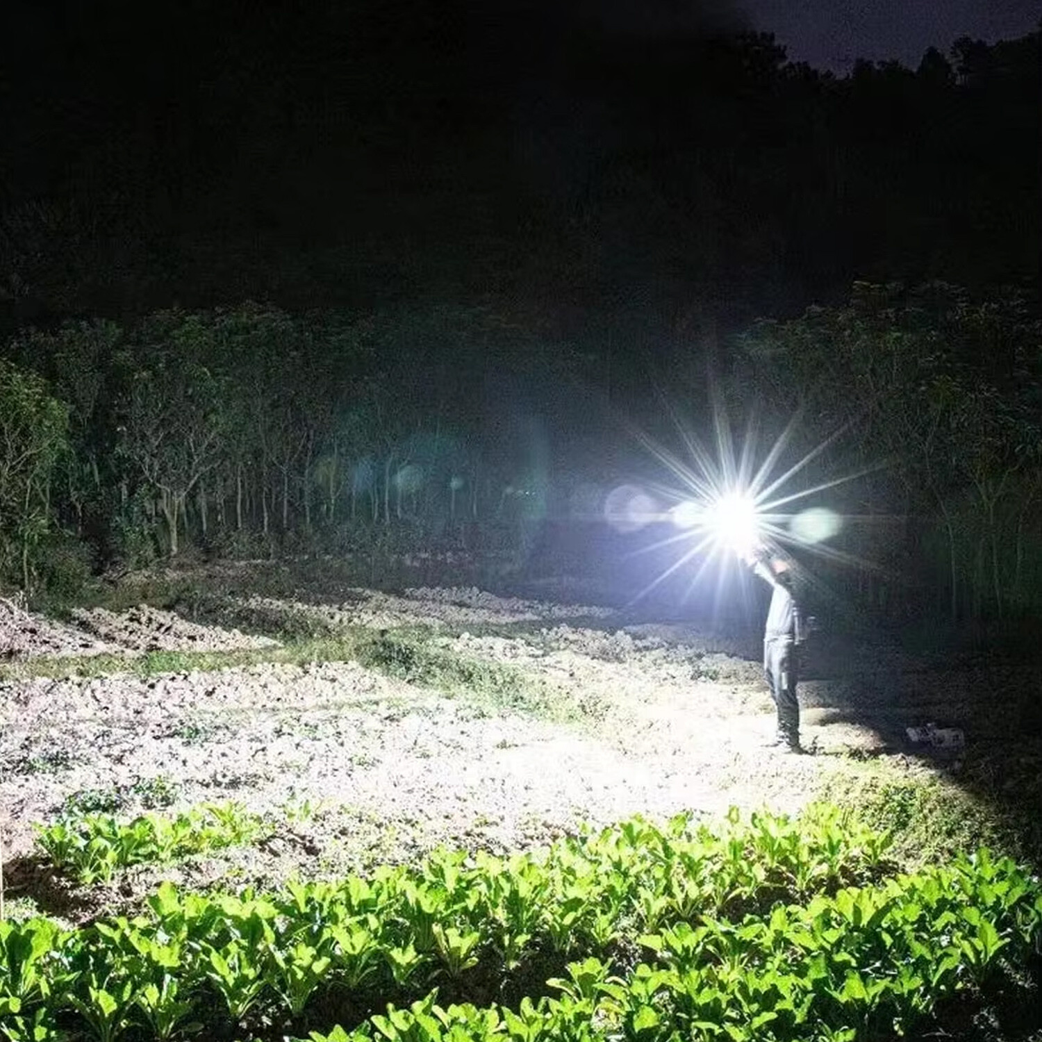 2 Pack Bright Solar/USB Rechargeable LED Spotlight Flashlight Searchlight