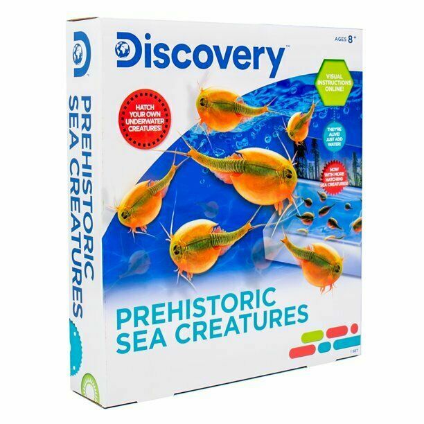 DISCOVERY HATCH YOUR OWN PREHISTORIC SEA CREATURES *DISTRESSED PKG