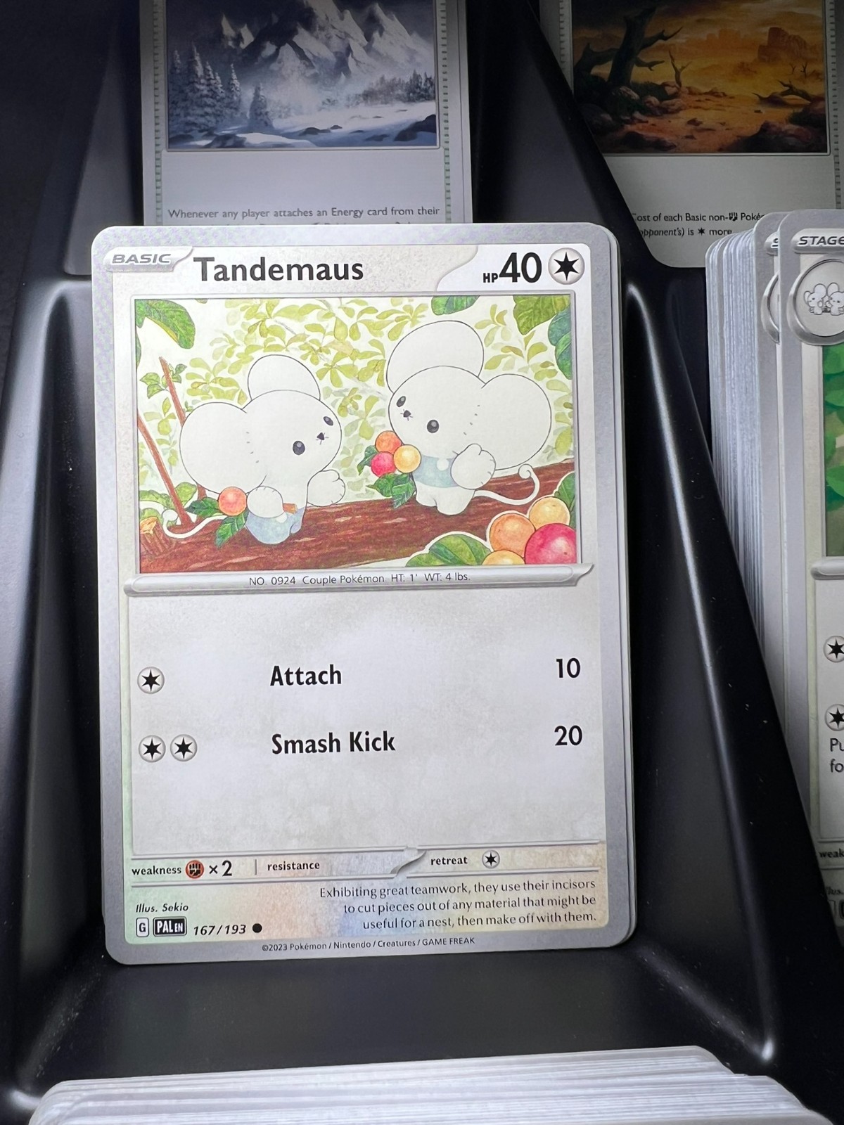 Tandemaus 167/193 Sv02: Paldea Evolved Regular